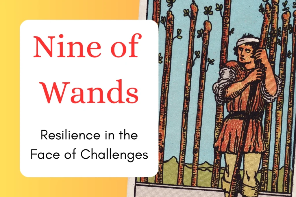 Nine of Wands